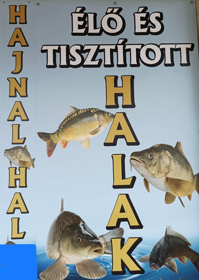 Halbolt Besenyőtelek, Hajnalhal, Ponty, Harcsa,
